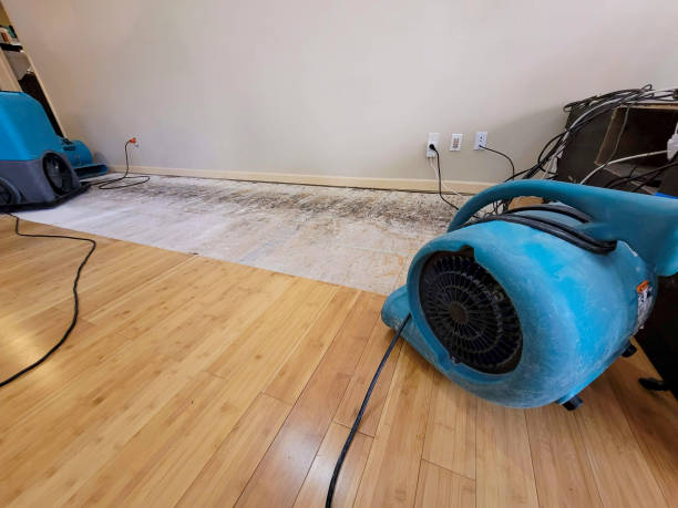 Reliable Basement Flood Cleanup contractor in Rockville, IN by Hirex Water Damage