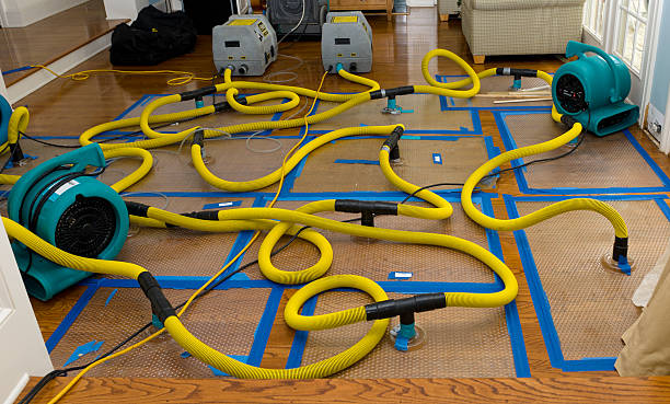 Professional Basement Flood Cleanup technician working in Rockville, IN